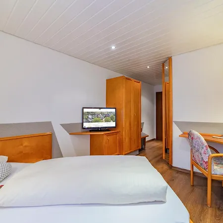 Отель Riegeler Hof 3*