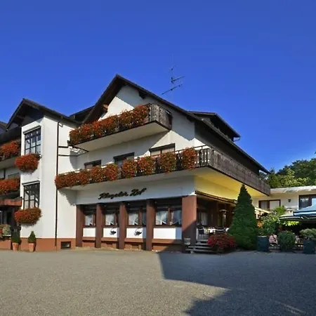 酒店 Riegeler Hof 里格尔