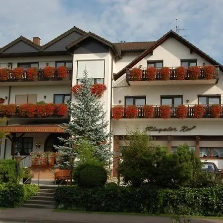 Отель Riegeler Hof