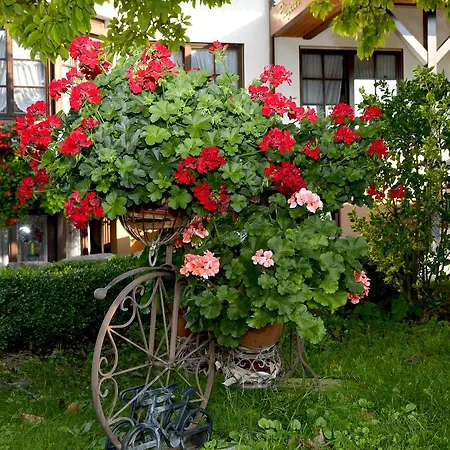 酒店 Riegeler Hof 3*