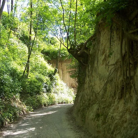 호텔 Riegeler Hof 리겔