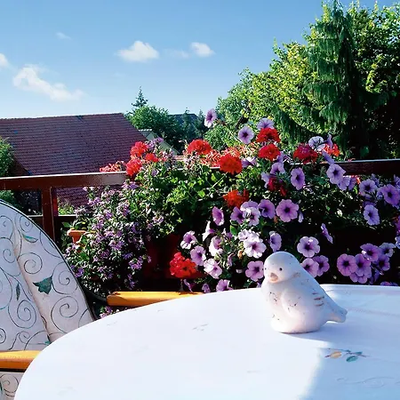 Riegeler Hof 호텔 리겔