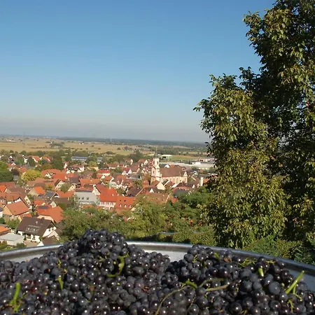 Riegeler Hof Отель