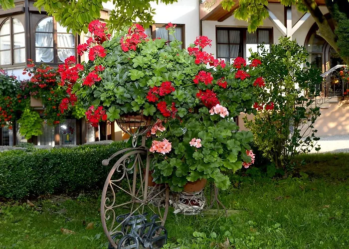 Hotel Riegeler Hof 3*