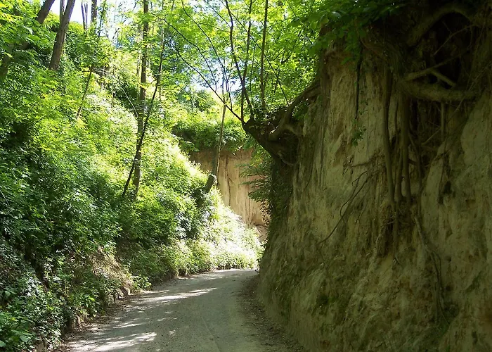 Hotel Riegeler Hof Riegel