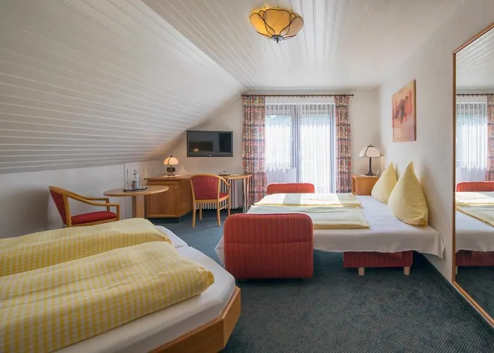 Hotell Riegeler Hof 3*